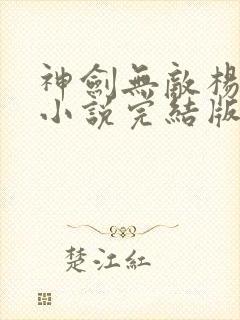 神剑无敌杨小天小说完结版