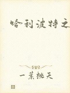 哈利波特之守护