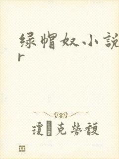 绿帽奴小说ntr封面