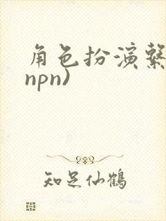 角色扮演系统(npn)