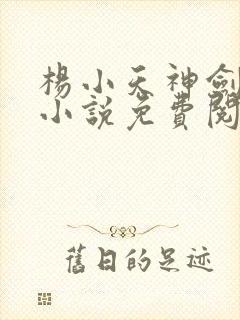 杨小天神剑无敌小说免费阅读