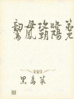 韵母攻略第二部鸾凤朝阳免费阅读