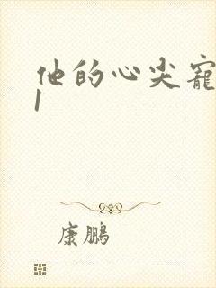他的心尖宠1v1