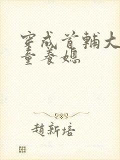 穿成首辅大人的童养媳封面