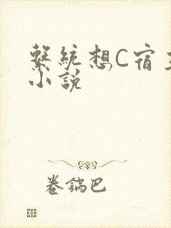 系统想C宿主的小说