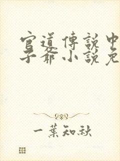 官道传说中的太子爷小说免费阅读封面