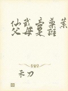 仙武帝尊叶辰的父母是谁封面