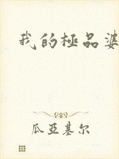 我的极品婆婆封面