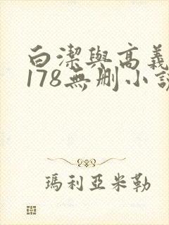 白洁与高义1～178无删小说封面