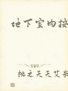 地下室肉按摩椅