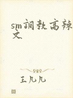 sm调教高辣h文