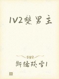 1V2双男主
