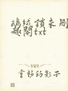 鹅绒锁未删除笔趣阁txt