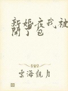 新婚夜我被伴郎开了包封面