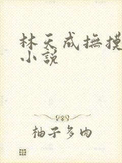 林天成抚摸乳房小说