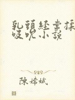 乳头经常揉捏和吸吮小说