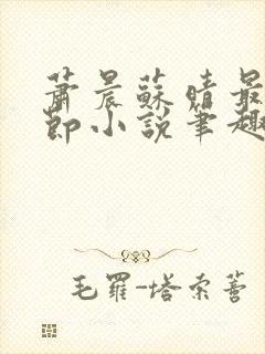 萧晨苏晴最新章节小说笔趣阁