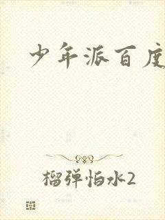 少年派百度百科