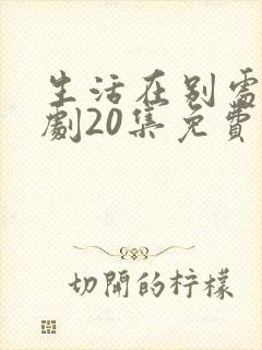 生活在别处电视剧20集免费观看封面