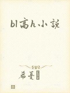 bl高h小说
