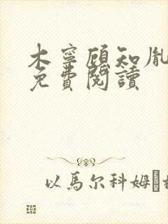 木宁顾知胤小说免费阅读