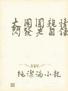 大团圆亲情会闪闪发光目录