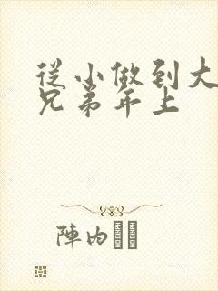 从小做到大骨科兄弟年上