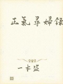 正气寻妇录