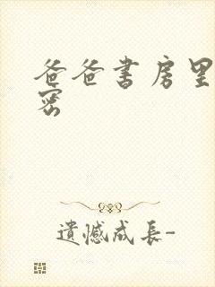 爸爸书房里的秘密封面