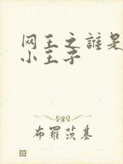 网王之谁是我的小王子封面