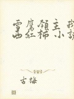 雪鹰领主 我吃西红柿 小说