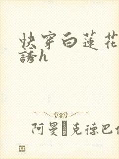 快穿白莲花的引诱h