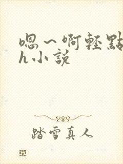 嗯～啊轻点hhh小说