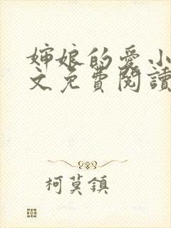 婶娘的爱小说全文免费阅读