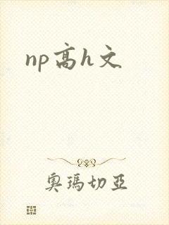 np高h文