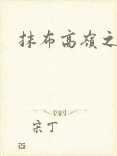 抹布高岭之花封面