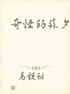 奇怪的苏夕封面