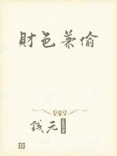 财色兼偷封面