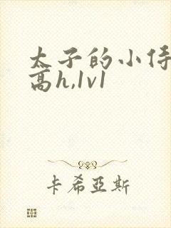 太子的小侍妾(高h,1v1