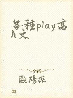 各种play高h文