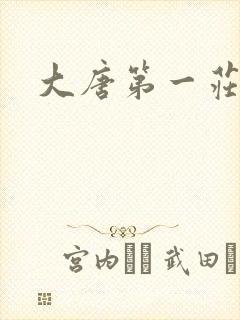 大唐第一庄封面