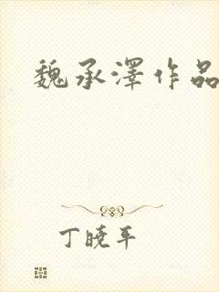 魏承泽作品封面