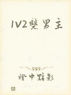 1V2双男主