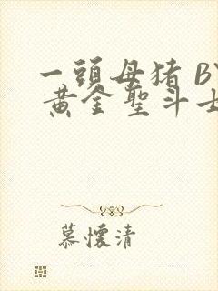 一头母猪 BY 黄金圣斗士