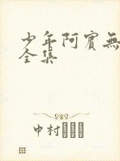 少年阿宾无删减全集