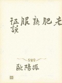 征服熟肥老妇小说封面