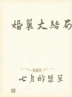 婚巢大结局封面