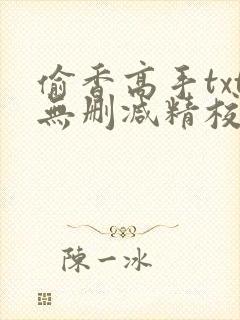 偷香高手txt无删减精校版