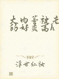 大肉蒂被老头嘬的好爽高h封面