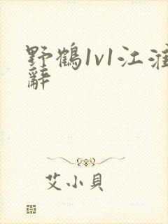 野鹤1v1江淮辞封面